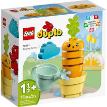 LEGO 10981 Growing Carrot+ ΔΩΡΟ ΜΠΛΟΚΑΚΙ ΣΗΜΕΙΩΣΕΩΝ